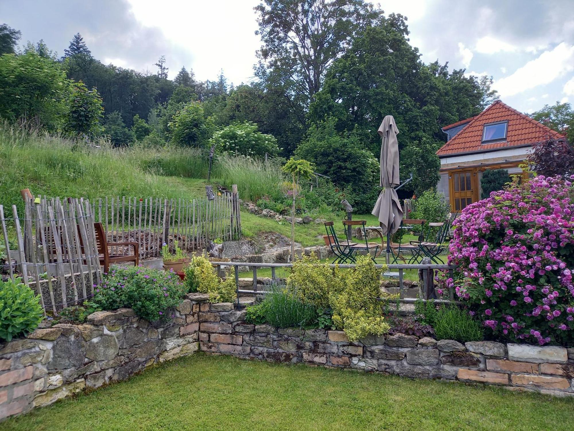 Villa Elfenhaeuschen Mit 3 Dtv Sternen Ausgezeichnet Bad Harzburg Exterior foto