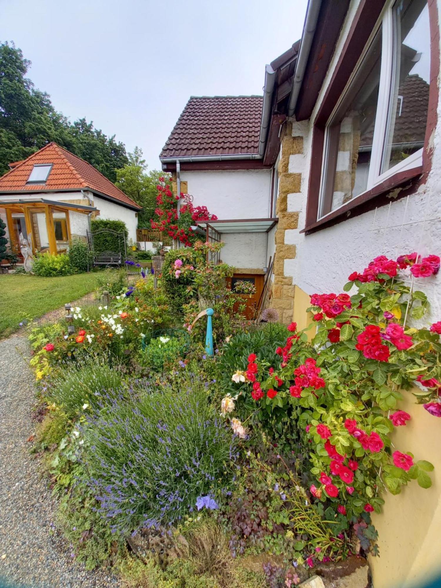 Villa Elfenhaeuschen Mit 3 Dtv Sternen Ausgezeichnet Bad Harzburg Exterior foto